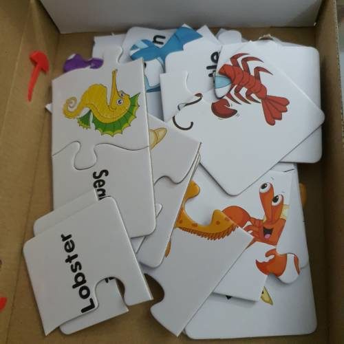 Ocean World Match-it Puzzle Flashcards photo review